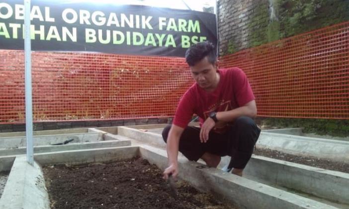 Budi Daya Maggot Bisa Kurangi Volume Sampah