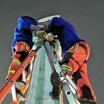 Laporan Keberadaan Sarang Tawon di Rumah Warga Berkurang