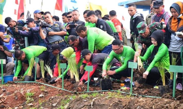Targetkan Tanam 50 Juta Pohon di Lahan Kritis