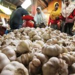 Dampak Impor, Harga Bawang Putih Melonjak Dampak Impor, Harga Bawang Putih Melonjak