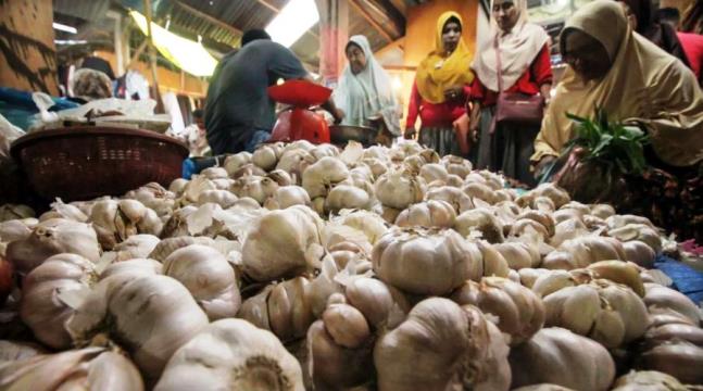 Dampak Impor, Harga Bawang Putih Melonjak