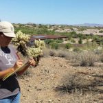 Aset Pemkab Bandung mendapat perhatian serius Bupati Kabupaten Bandung Dadang Supriatna.aset daerah jadi instrumen pemeriksaan BPK