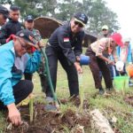 Tanaman Vetiver Dikembangkan oleh Sektor 7 di Bibir Sungai Citarum Tanaman vetiver dikembangkan oleh Sektor 7 untuk mencegah terjadinya erosi dibantaran sungai citarum