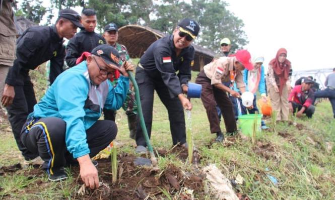 Tanaman vetiver dikembangkan oleh Sektor 7 untuk mencegah terjadinya erosi dibantaran sungai citarum