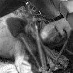 Warga Gunung Halu Geger! Ada Mayat Terbungkus Karung di Tengah Hutan