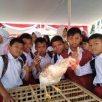 Pelajar Kota Bandung Berhasil Pelihara Anak Ayam dan Tanam Cabai