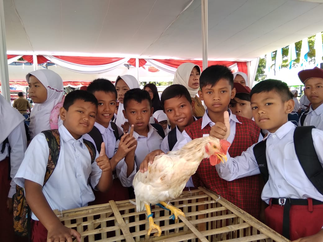 Pelajar Kota Bandung Berhasil Pelihara Anak Ayam dan Tanam Cabai