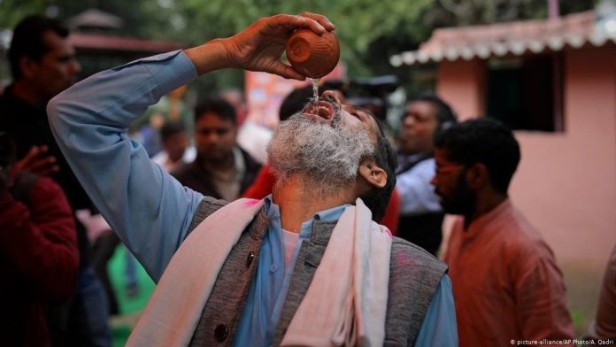 Warga Sakit Setelah Minum Air Kencing Sapi, Aktivis Hindu India Ditangkap