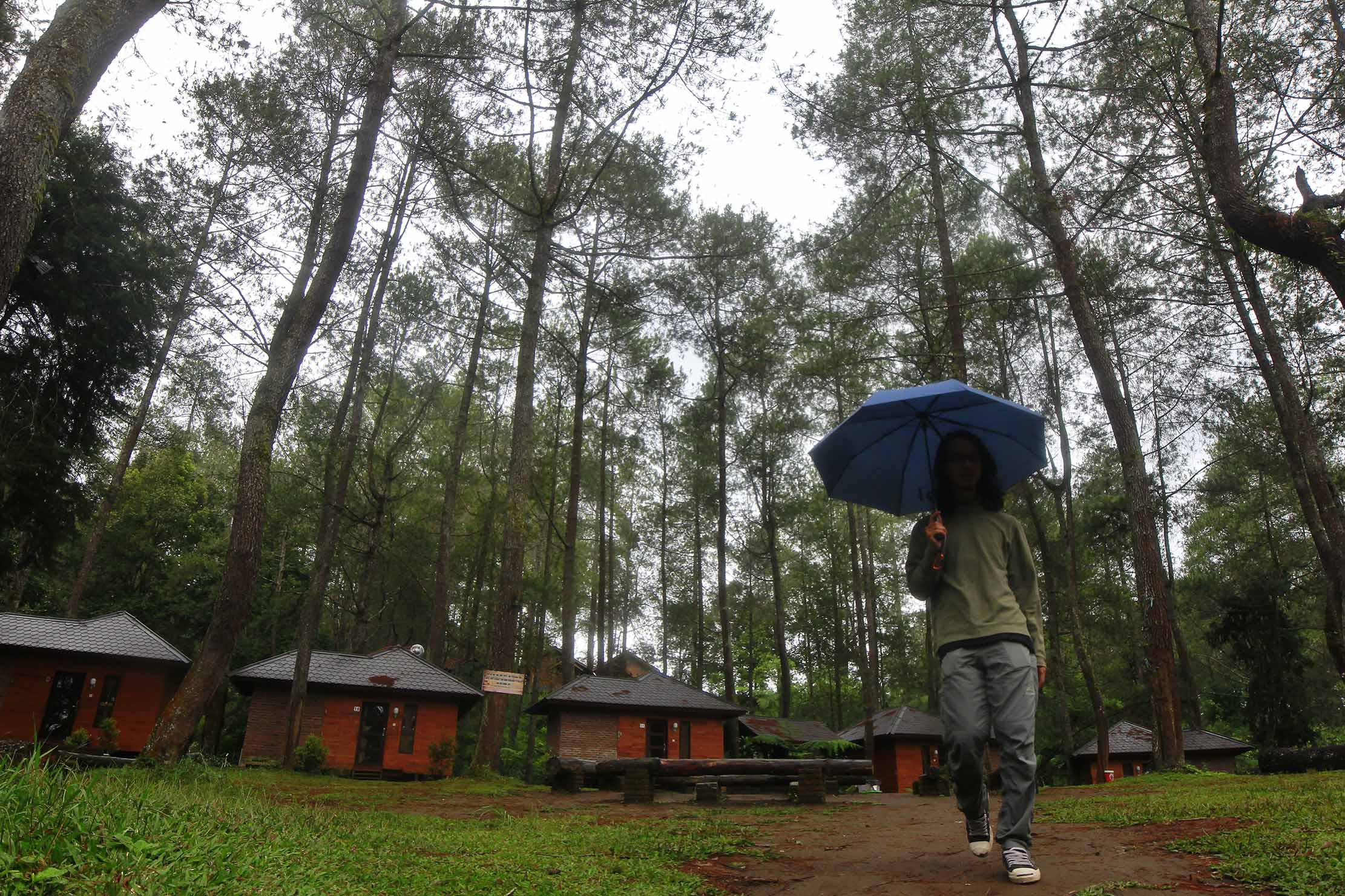 BMKG Minta Warga Waspada Dampak Bencana dari Fenomena La Nina