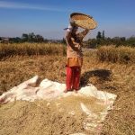 Asuransi Pertanian Kurang Diminati Para Petani