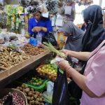 Corona Datang, Jahe dan Temu Lawak Menghilang
