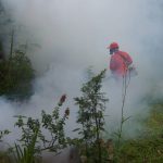 Selain Corona Warga KBB Juga Dihantui Demam Berdarah, 486 Dirawat