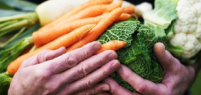 Waspada! Krisis Pangan Mengancam Dunia