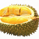 Durian Kemauan Durian Kemauan