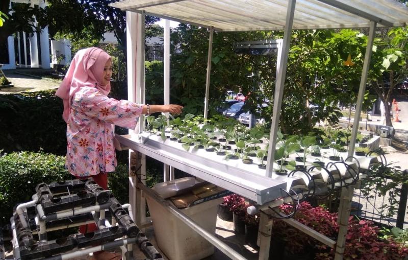 Terbatasnya Lahan Pertanian di kota Cimahi, Dispangtan Dorong Petani Budidaya Tanaman Hidroponik