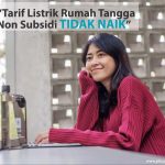 PLN Pastikan Tarif Listrik Tidak Naik
