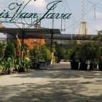 Pembukaan Mall Dalam Tahap Peninjauan