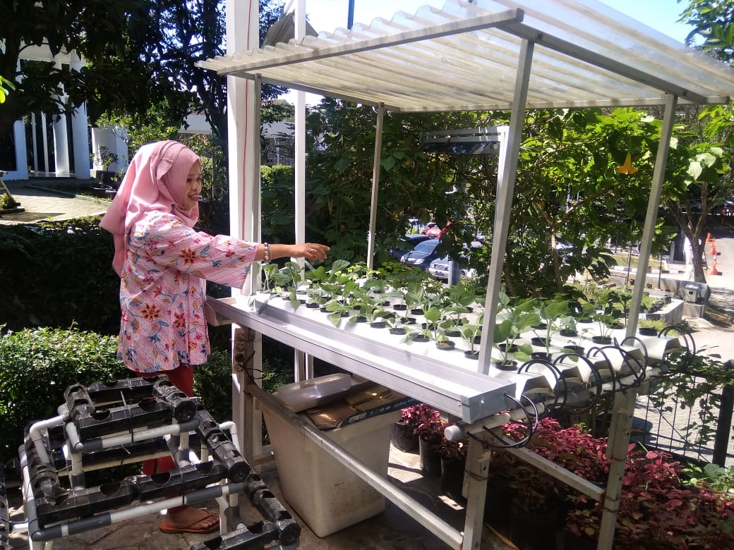 Stay at Home dengan Bercocok Tanam Hidroponik Stay at Home dengan Bercocok Tanam Hidroponik