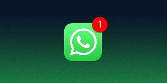 WhatsApp Kembangkan Fitur Video Call dengan 50 Peserta