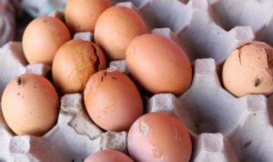 Hati Peternak Pecah, Harga Telur Ayam Hanya Rp16 Ribu per Kg