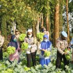 Keren Nih! Polsek Cisarua Tanam Sayuran dan Budidaya Lele, Hasilnya Dibagikan ke Warga Keren Nih! Polsek Cisarua Tanam Sayuran dan Budidaya Lele, Hasilnya Dibagikan ke Warga