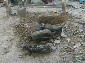 Heboh! Ditemukan Kuburan Berisi 9 Bangkai Ayam Terbungkus Kain Kafan dengan Tulisan Nama Wanita