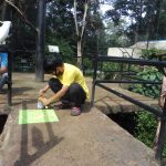 Sudah Kewalahan, Kebun Binatang Bandung Ajukan Surat Izin Beroperasi