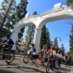 lajur sepeda kota bandung