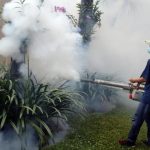 Selama Januari hingga September 2023, Dinkes Catat 13 Ribu Kasus DBD di Jabar