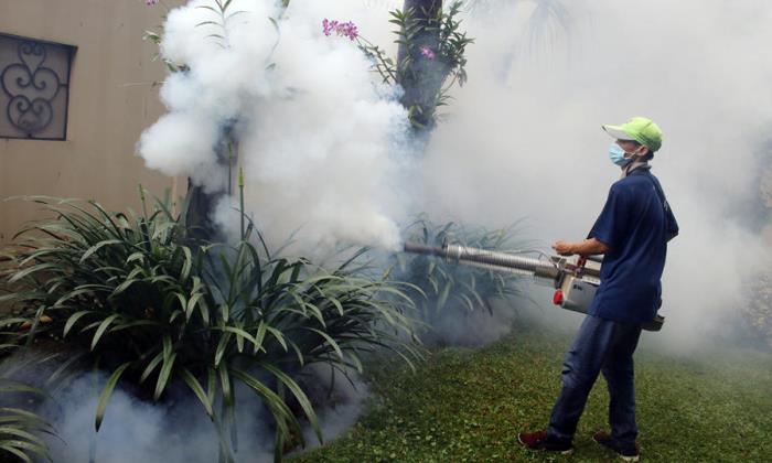 Puluhan Orang Meninggal karena DBD