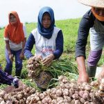 Kinerja Kementan Jadi Sorotan, Aspirasi Petani Harus Jadi Perhatian