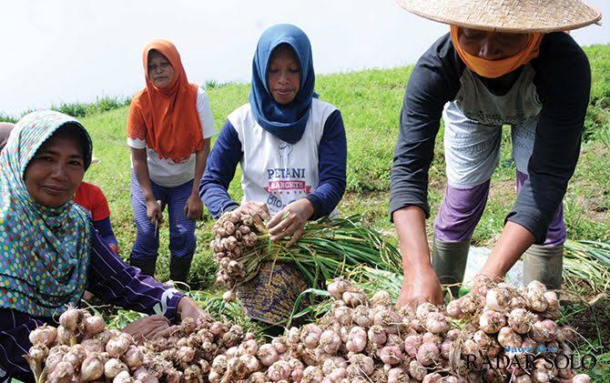 Kinerja Kementan Jadi Sorotan, Aspirasi Petani Harus Jadi Perhatian Kinerja Kementan Jadi Sorotan, Aspirasi Petani Harus Jadi Perhatian