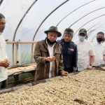 Pandemi Covid-19 Serang Pelaku UKM