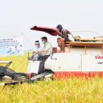 Setop Jual Lahan Pertanian