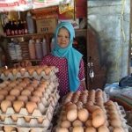 Disdaging Akan Telusuri Telur yang Dijual di Bawah Harga Pasar