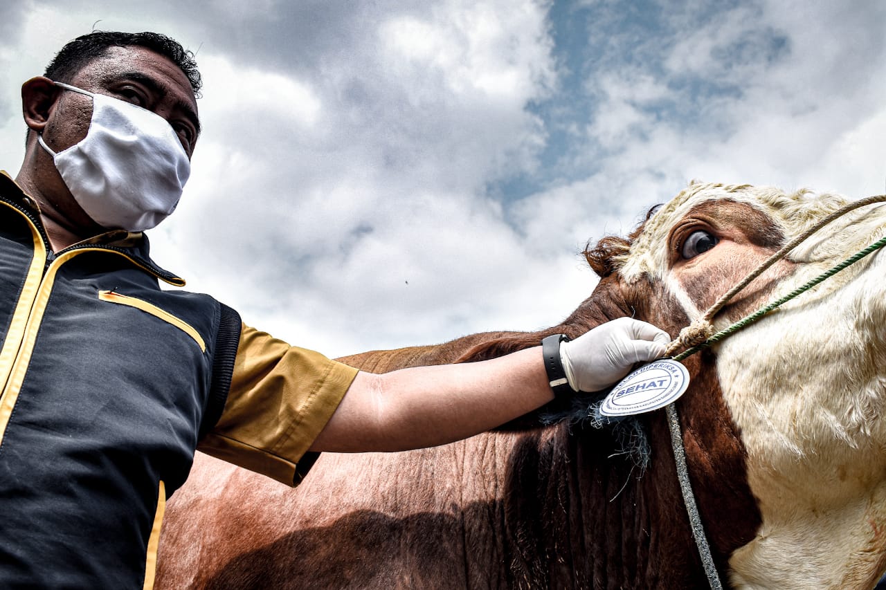 Larang Pembagian Kurban dengan Berkerumun, Panitia Sebaiknya Terapkan Sistem Antar