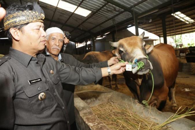 Cegah Covid-19 Saat Idul Adha Cegah Covid-19 Saat Idul Adha