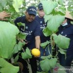 Wakil Ketua MPR: Kagumi Inovasi Teknologi Pertanian IPB, Ajak Milenial Turun di Dunia Pertanian