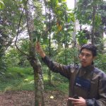 Pemerintah Bagi-bagi Lahan Perhutanan Sosial untuk Dimanfaatkan Masyarakat