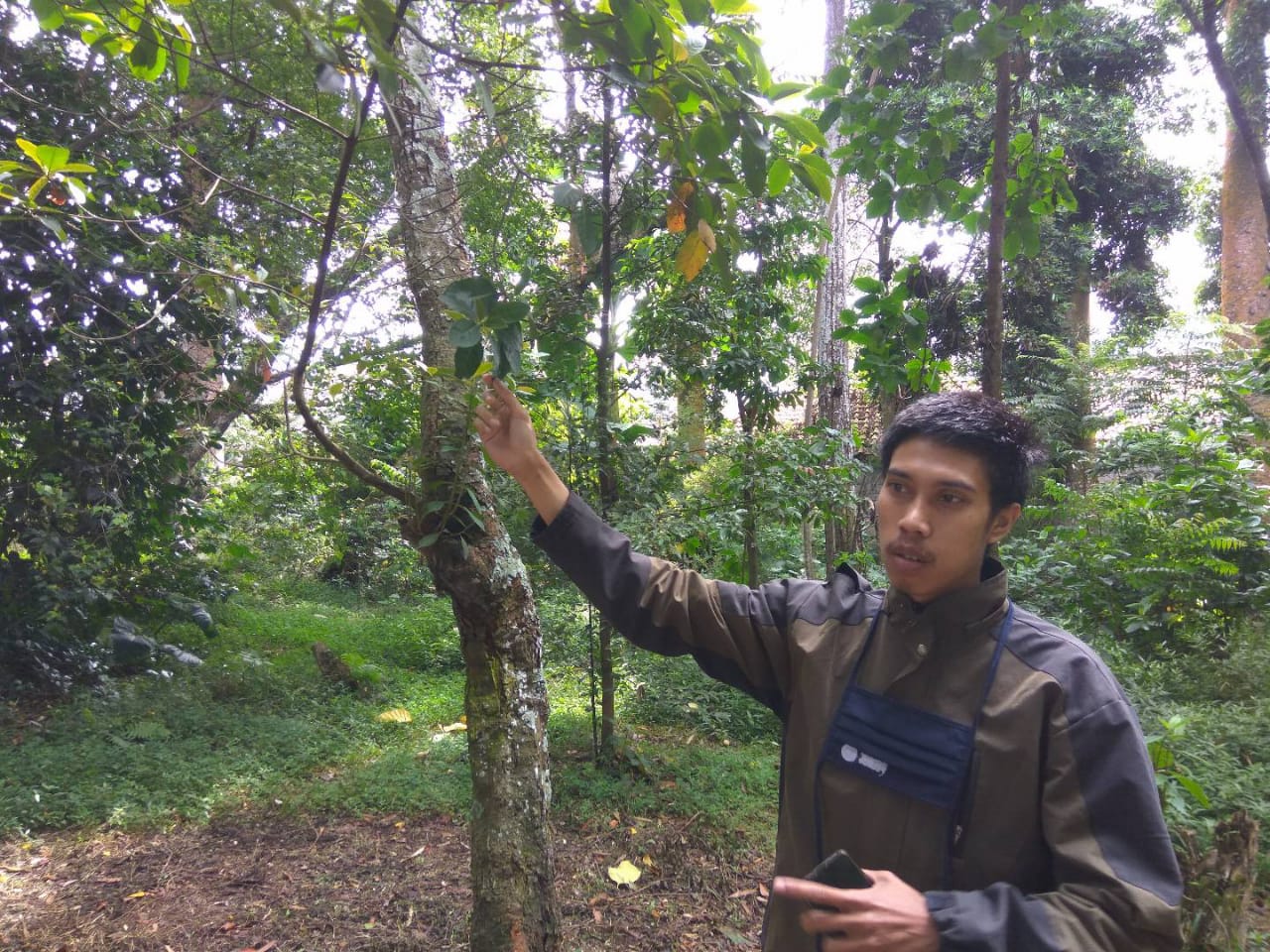Pemerintah Bagi-bagi Lahan Perhutanan Sosial untuk Dimanfaatkan Masyarakat
