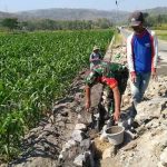 Ratusan Desa di Jawa Barat Naik Kelas