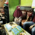 Bumil dan AUD Dapat PKH Untuk Asupan Gizi