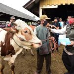 Daging Diantar ke Rumah Penerima, Pemprov Jabar Keluarkan Protokol Idul Adha