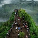 Jelang Kemarau, Perhutani Waspadai Kebakaran Hutan