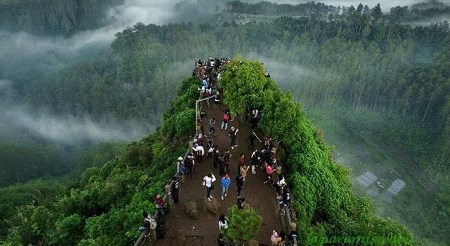 Jelang Kemarau, Perhutani Waspadai Kebakaran Hutan