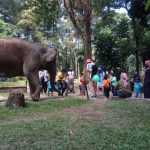 Pengunjung Kebun Binatang Bandung Kembali Melonjak Saat Libur Panjang