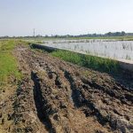 Jalan Penghubung Dua Desa Pesisir Karawang Tak Tersentuh Perbaikan