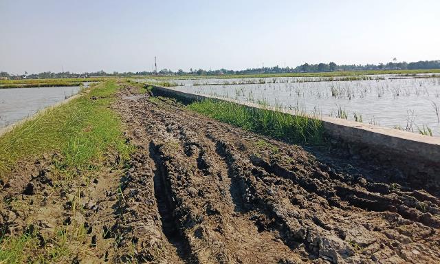 Jalan Penghubung Dua Desa Pesisir Karawang Tak Tersentuh Perbaikan
