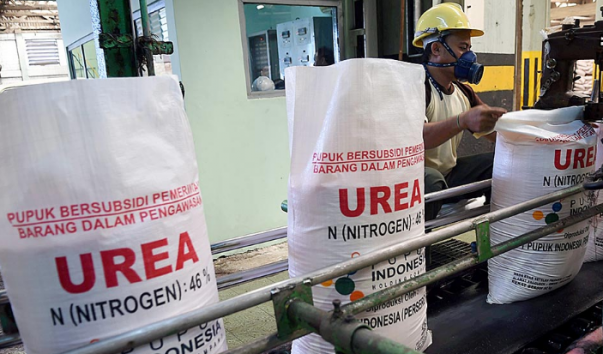 Kalangan Dewan Minta, Pemprov Jabar Segera Benahi Kelangkaan Pupuk di Kabupaten Karawang