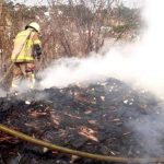 Perhutani Minta Masyarakat Tak Bakar Hutan untuk Buka Lahan Pertanian